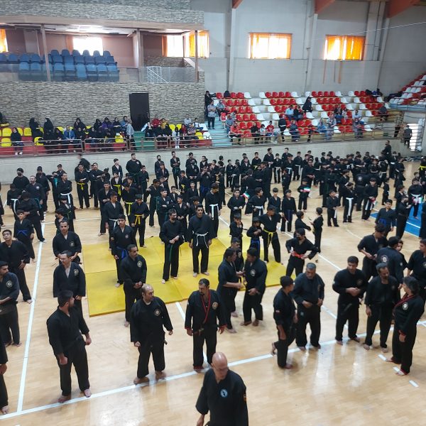 همایش و استاژ دفاع شخصی